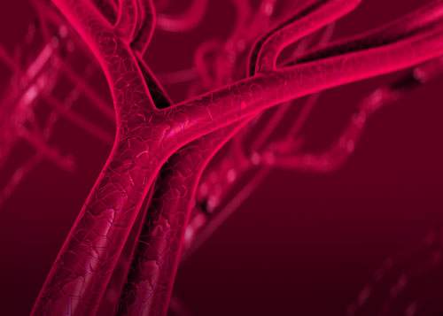 [caption:Vascular & Endovascular Surgery] Click to go to the Vascular and Endovascular Surgery page